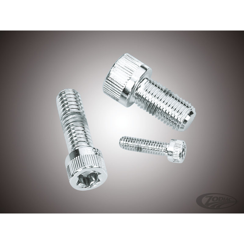 ASSORTIMENT DE VIS TORX CHROMEES