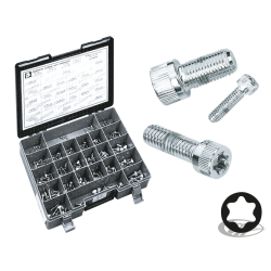 ASSORTIMENT DE VIS TORX CHROMEES
