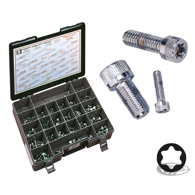 ASSORTIMENT DE VIS TORX CHROMEES