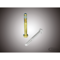 VIS DE CACHE CULBUTEUR POUR MOTEUR EVOLUTION