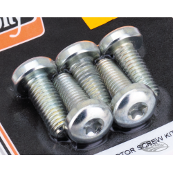 KITS DE VIS DE FIXATION DE DISQUE POUR V-ROD