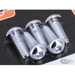 KITS DE VIS DE FIXATION DE DISQUE POUR SPORTSTER