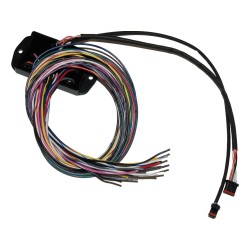 Bagger Can Bus Controller for Custom Handlebar Switches Can Bus Controller for Custom Handlebar Switches
