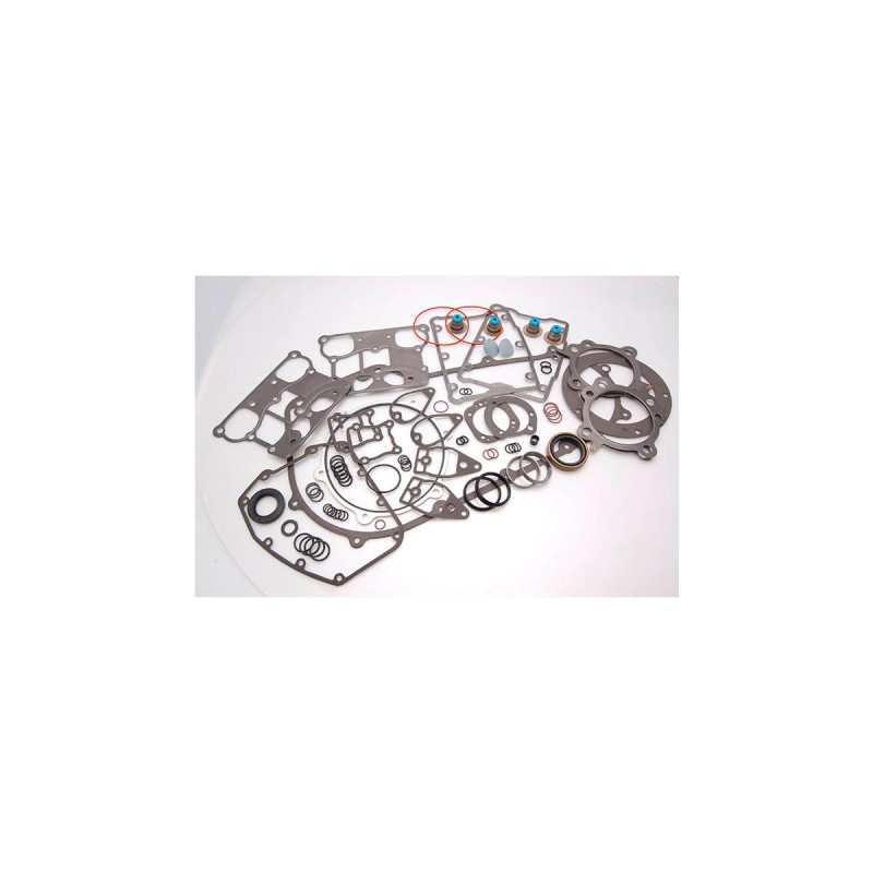 Complete Engine Kits with Primary Gaskets 3 7/8"