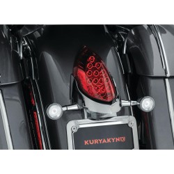 Custom Rear Turn Signal and License Plate Mount for Indian Chrome