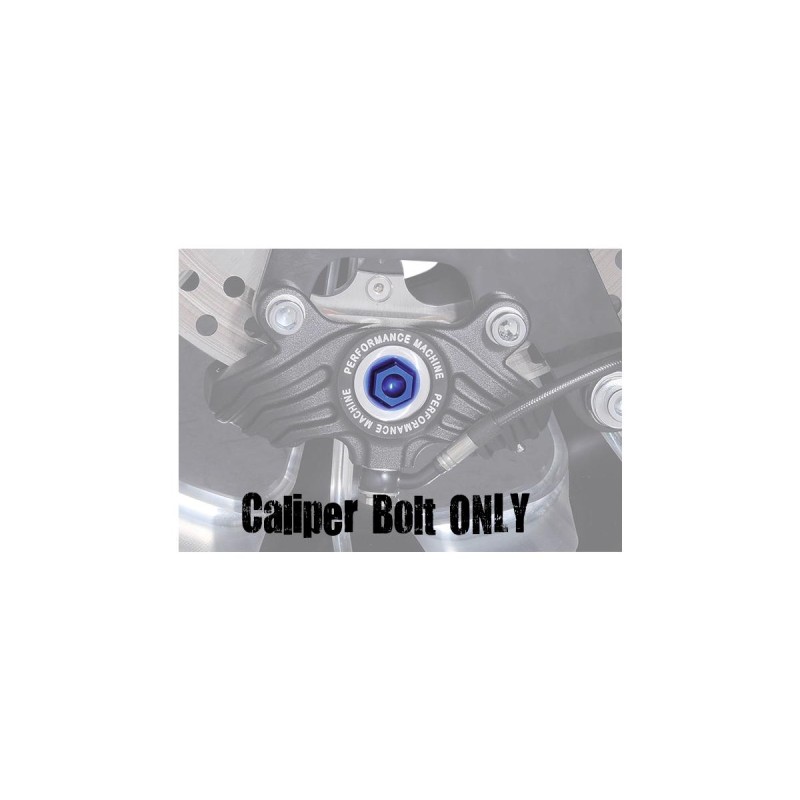 Vintage Brake Caliper Bolt Blue