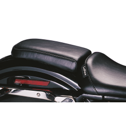 LE PERA BARE BONES POUR SPORTSTER