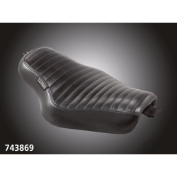 LE PERA STREAKER POUR SPORTSTER