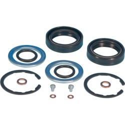 Oil Seal Kit, Front Fork