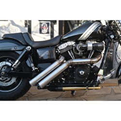 Firestarter Exhaust System , Raw Hole Heat Shield, Polished Smooth End Cap, Outline 2,5"