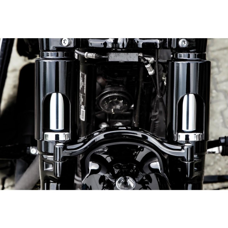 Palas Lower Fork Cover