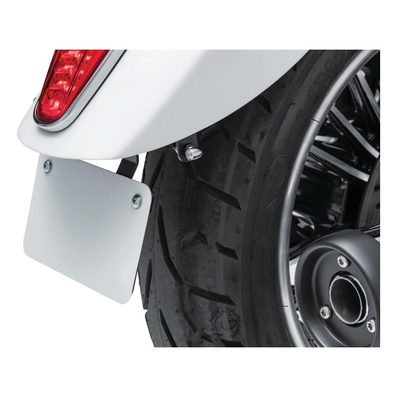 Custom Rear Turn Signal and License Plate Mount for Scout