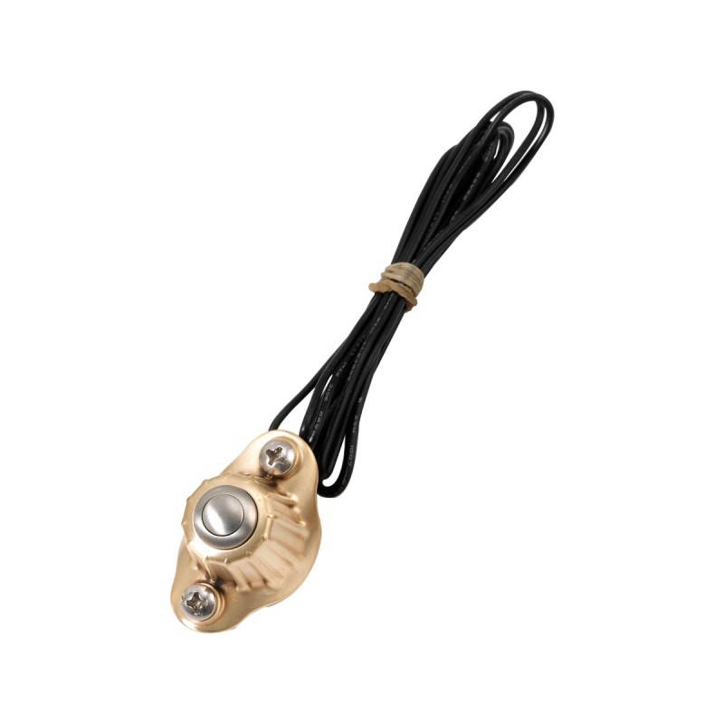 Deluxe Switch Housing Single button Brass Satin