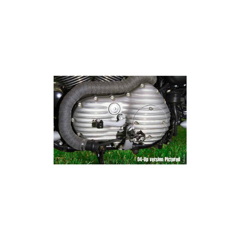 Ribsters Primary Cover Raw