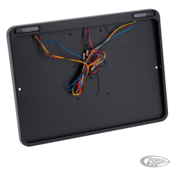 CADRE DE PLAQUE D'IMMATRICULATION AVEC FEUX