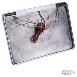 CADRE DE PLAQUE D'IMMATRICULATION AVEC FEUX