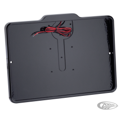 CADRE DE PLAQUE D'IMMATRICULATION AVEC ÉCLAIRAGE DE PLAQUE D'IMMATRICULATION