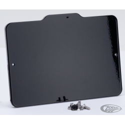 CADRE DE PLAQUE D'IMMATRICULATION AVEC ÉCLAIRAGE DE PLAQUE D'IMMATRICULATION