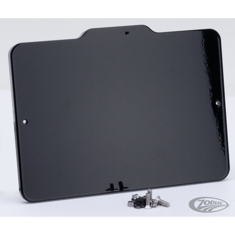 CADRE DE PLAQUE D'IMMATRICULATION AVEC ÉCLAIRAGE DE PLAQUE D'IMMATRICULATION