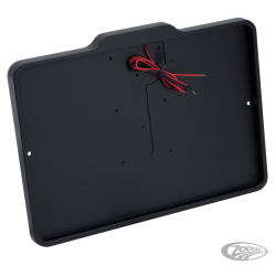 CADRE DE PLAQUE D'IMMATRICULATION AVEC ÉCLAIRAGE DE PLAQUE D'IMMATRICULATION