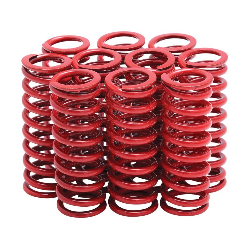 CLUTCH SPRINGS