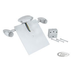 ENSEMBLE FEU ARRIERE CLIGNOTANT CUSTOM LED POUR V-ROD