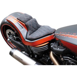 Racing 2-Seat Rear End Conversion Kit 2-Up version Ready to Paint