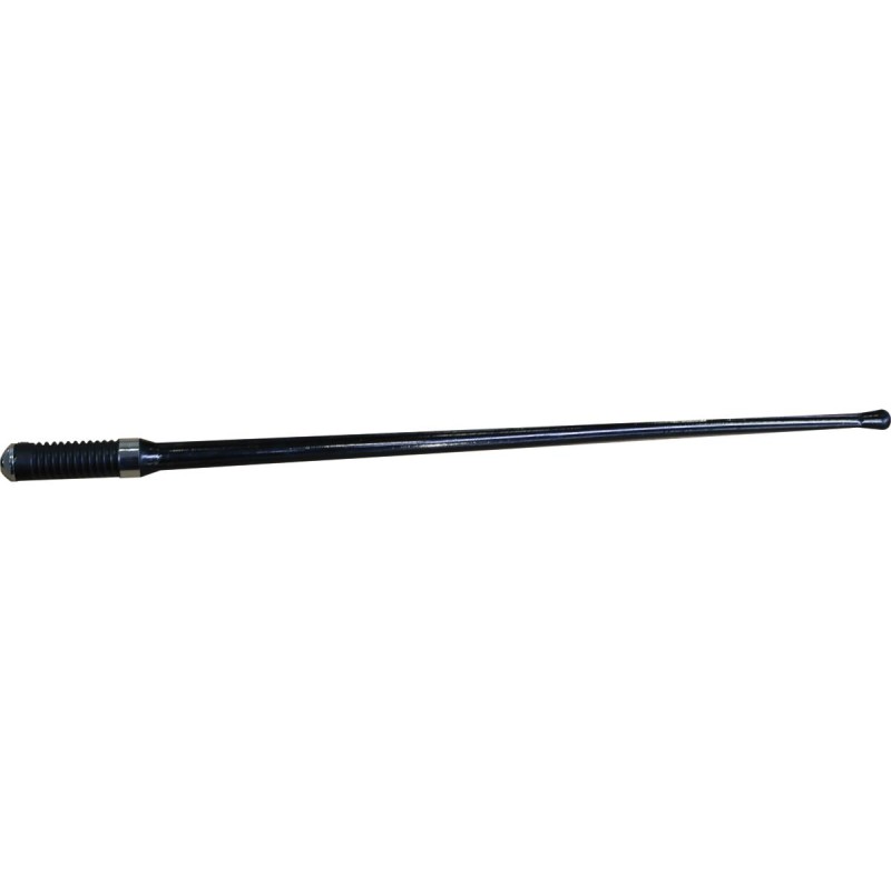 Whip Antenna Black