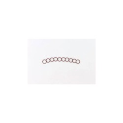 Cam Sensor O-Ring Pack 10.0