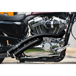 Rainbow Down Under Exhaust System , Without Heat Shield, Polished Smooth End Cap, Black 2,5"