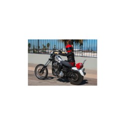 Tall Sissy Bar with Pad Chrome