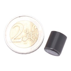 Proton Module LED Turn Signal Black Tinted LED