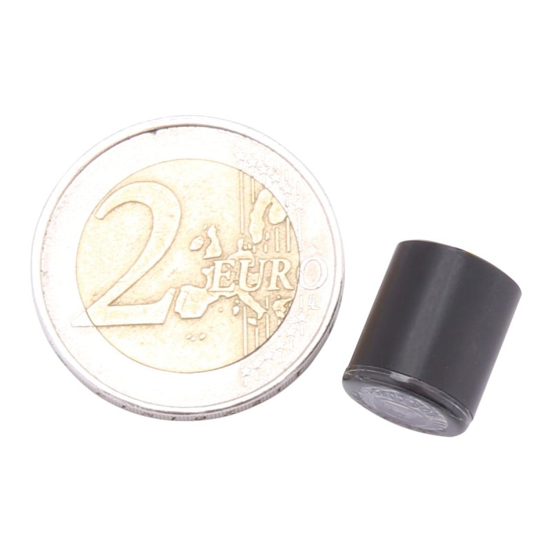 Proton Module LED Turn Signal Black Tinted LED