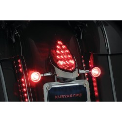 Custom Rear Turn Signal and License Plate Mount for Indian Black Satin