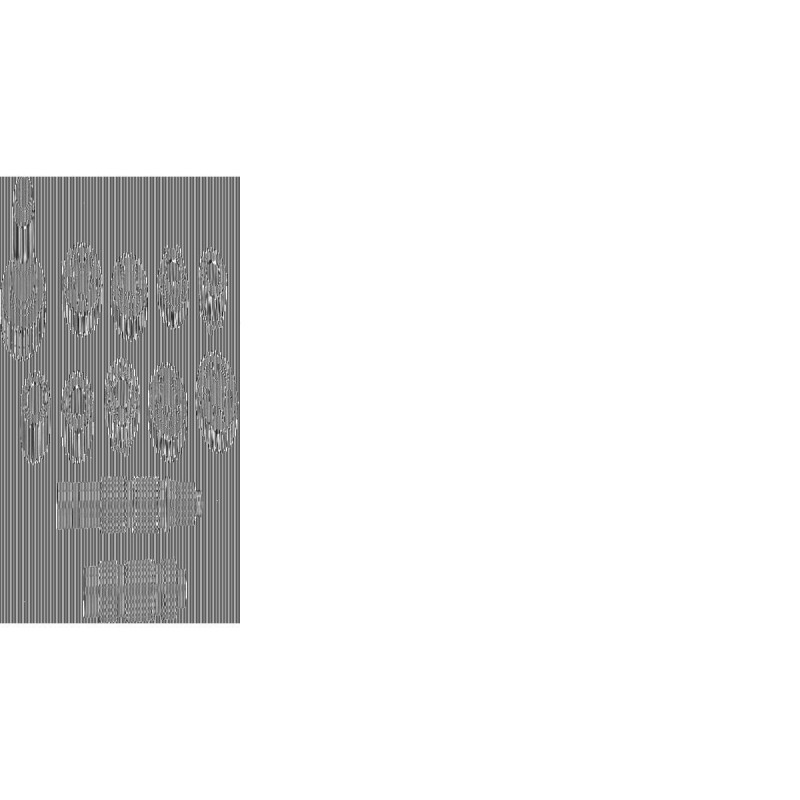 5 SPEED GEARSET Gear Set 5-Speed Sportster Models