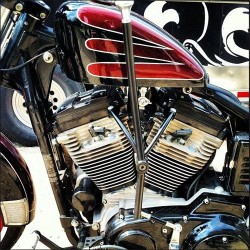 Jockey shift sportster xl 2004  au present