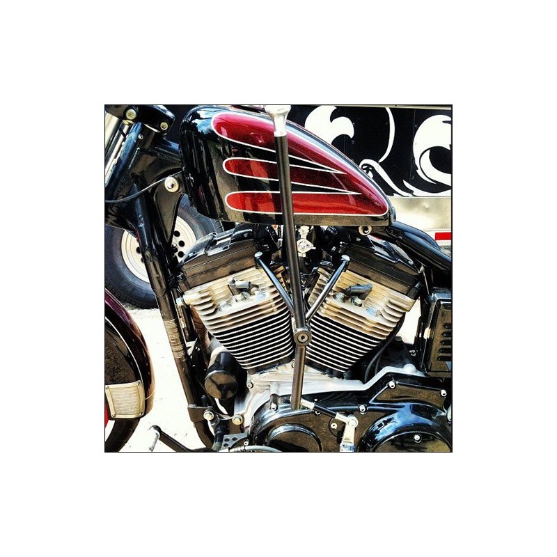 Jockey shift sportster xl 2004  au present