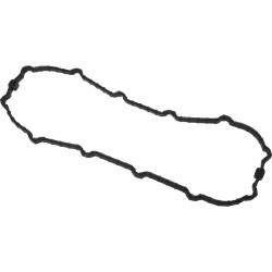 Fuel Pump Door Seals Fuel Pump Door Gasket OEM 75245-04A Each 1.0