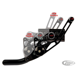 COMMANDES AVANCÉES RICK'S POUR MILWAUKEE EIGHT SOFTAIL