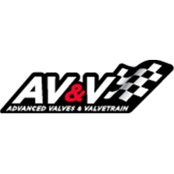 AV&V